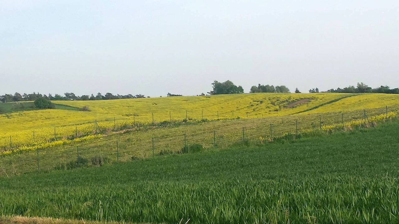 Działka rolno-budowlana Nowa Wieś Malborska