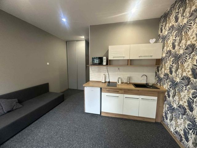 Mieszkanie 1-pokojowe Łódź Śródmieście, ul. Prezydenta Gabriela Narutowicza. Zdjęcie 2