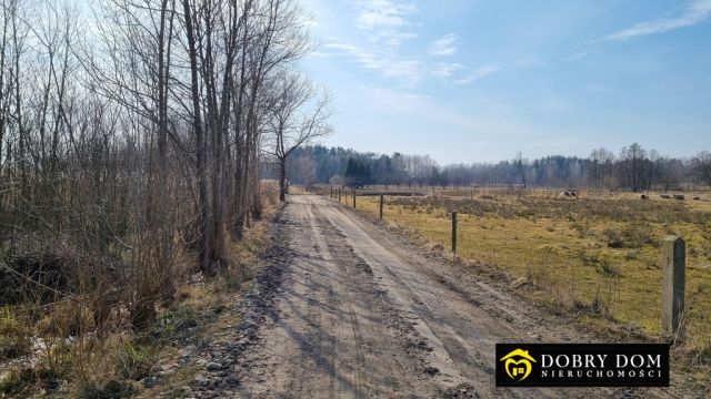 Działka budowlana Skrybicze. Zdjęcie 2