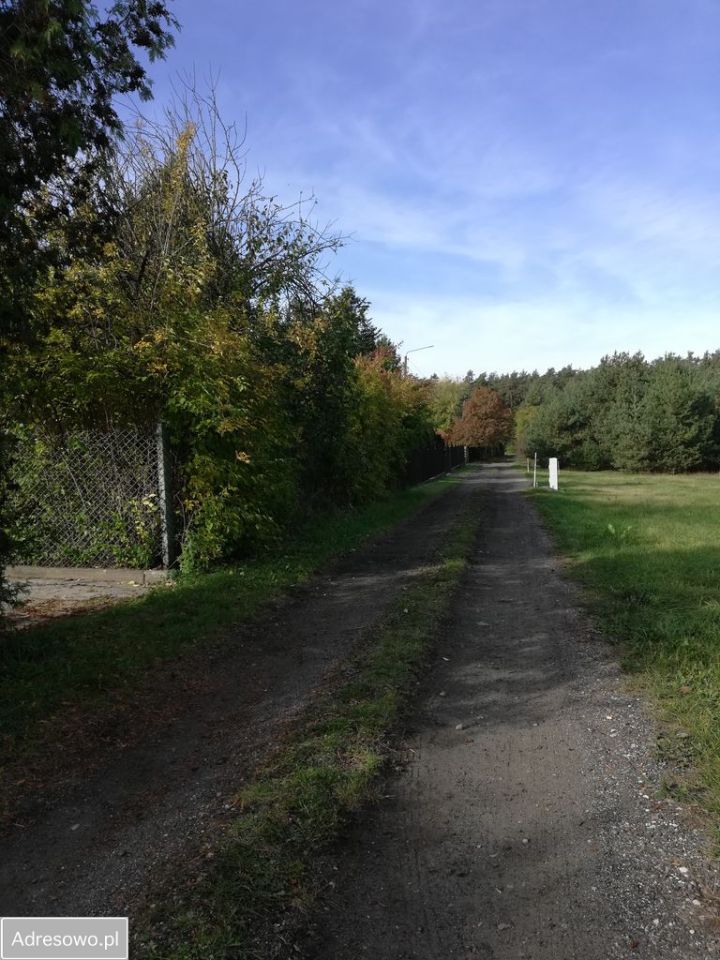 gospodarstwo Wymysły, ul. Aroniowa. Zdjęcie 12