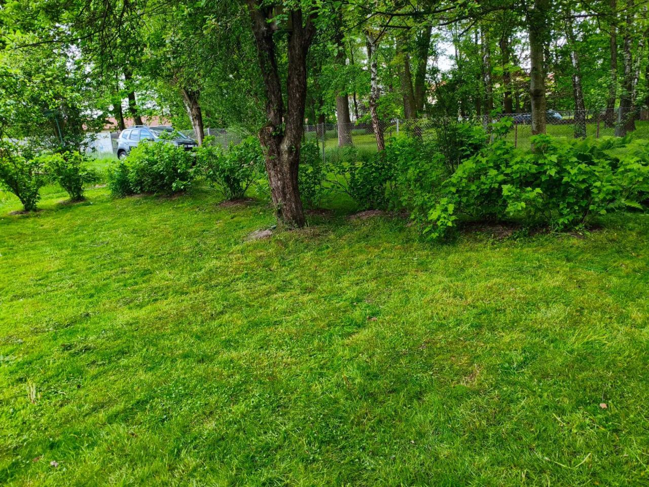 Działka rod Rzeszów Miłocin, ul. Laurowa. Zdjęcie 5