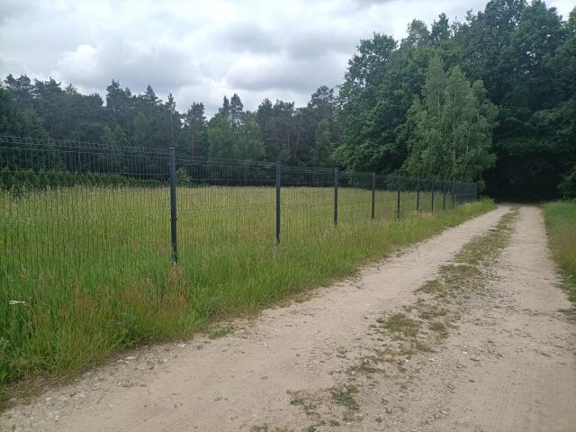Działka rolno-budowlana Damianów. Zdjęcie 1