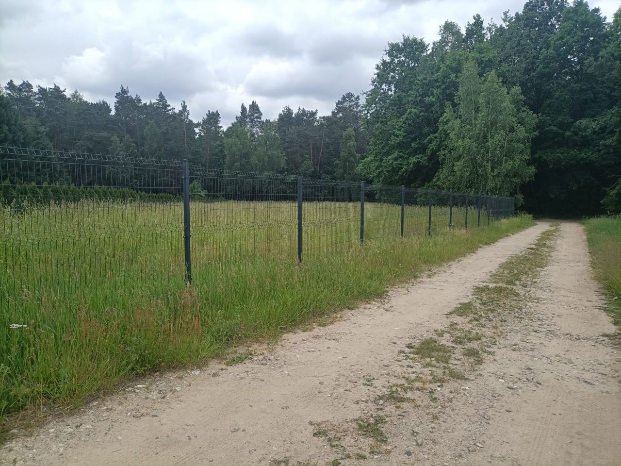 Działka rolno-budowlana Damianów. Zdjęcie 1