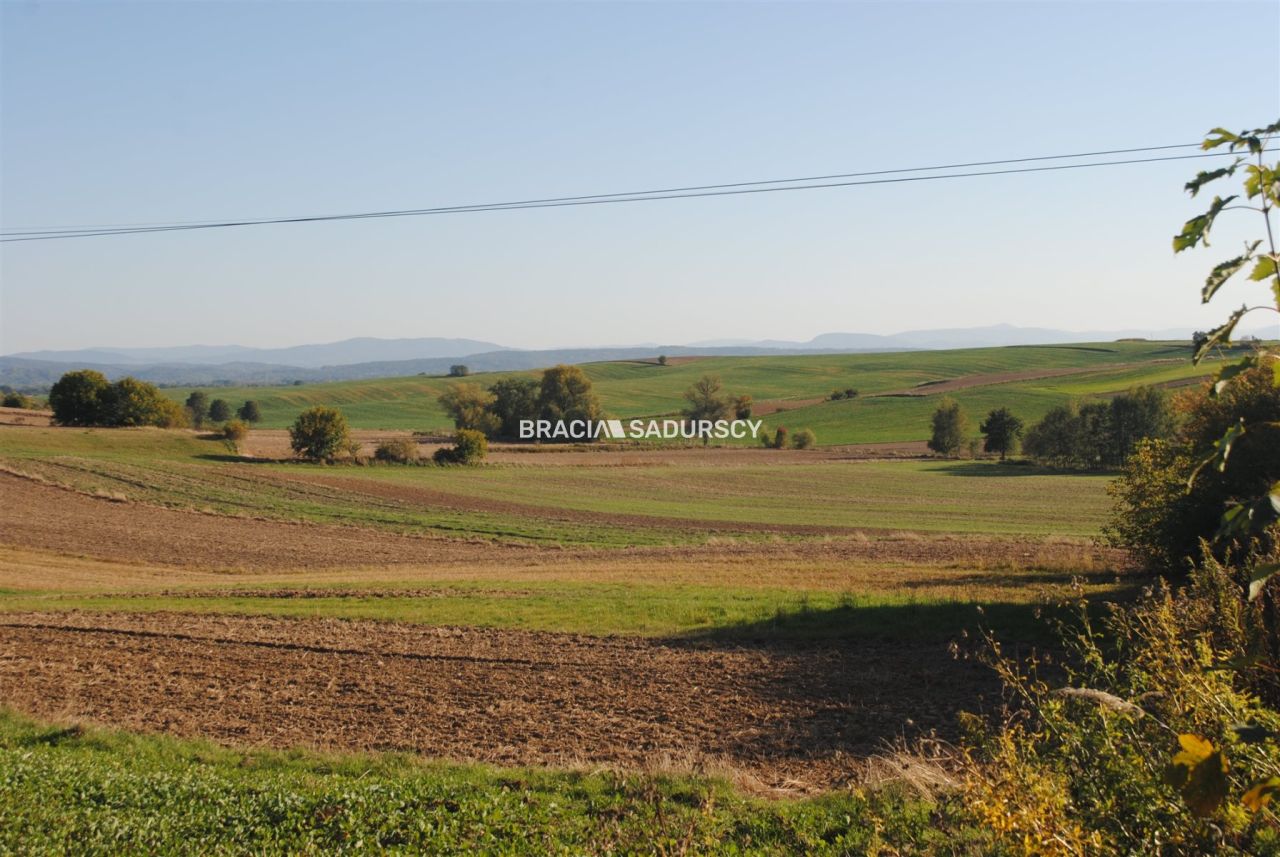 Działka rolno-budowlana Brzezie. Zdjęcie 4