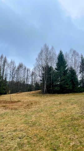 Działka rolna Tylicz. Zdjęcie 3