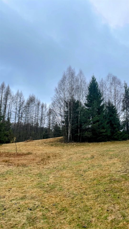 Działka rolna Tylicz. Zdjęcie 3