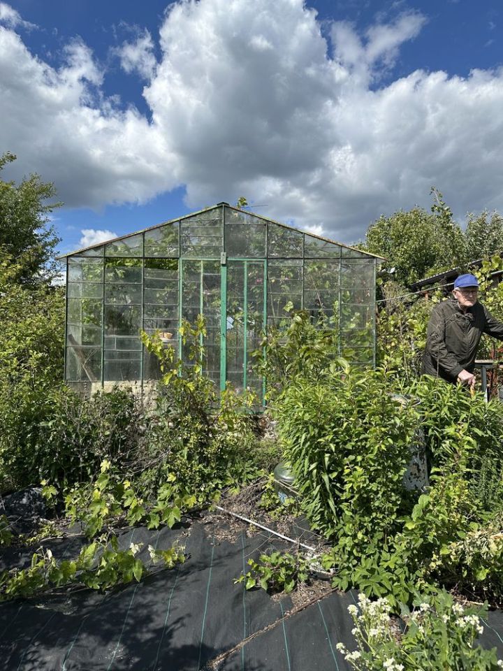 Działka rod Czarnków. Zdjęcie 6