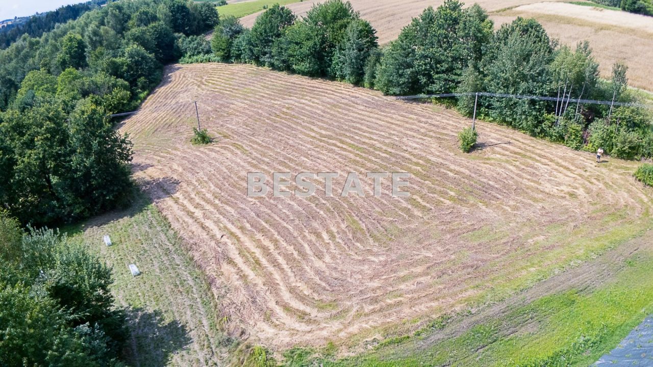 Działka budowlana Paleśnica. Zdjęcie 5