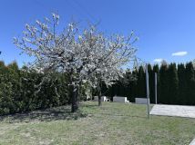 Działka rod Gniezno. Zdjęcie 2