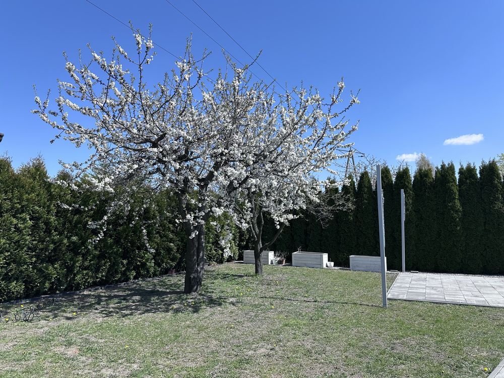 Działka rod Gniezno. Zdjęcie 3