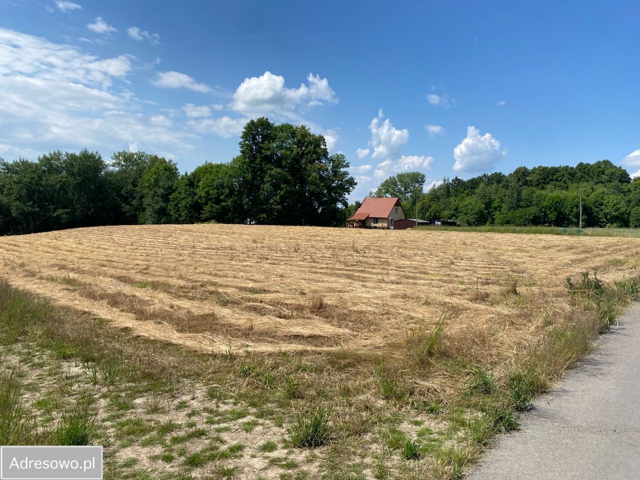 Działka budowlana Bodzanów. Zdjęcie 9