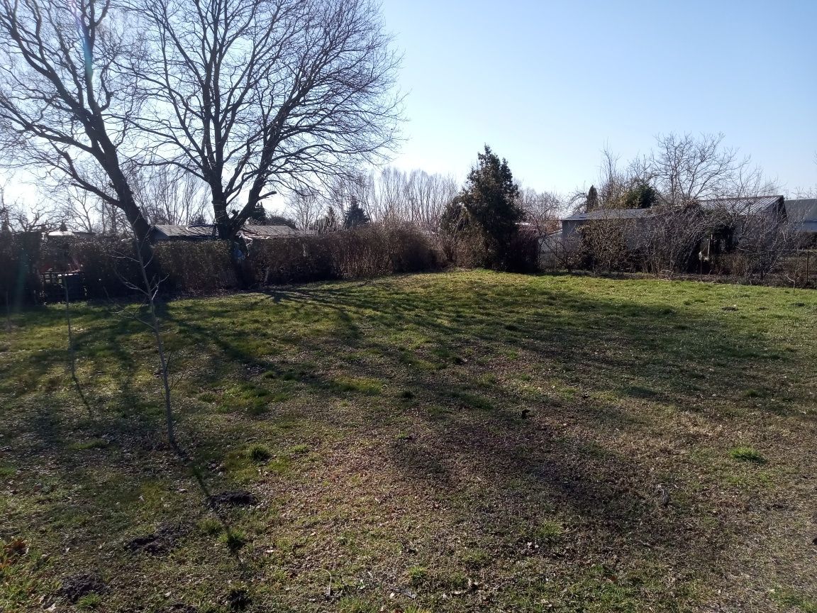 Działka rod Gorzów Wielkopolski, ul. Jasna. Zdjęcie 6