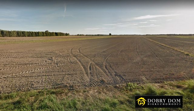 Działka budowlana Jadwisin. Zdjęcie 2