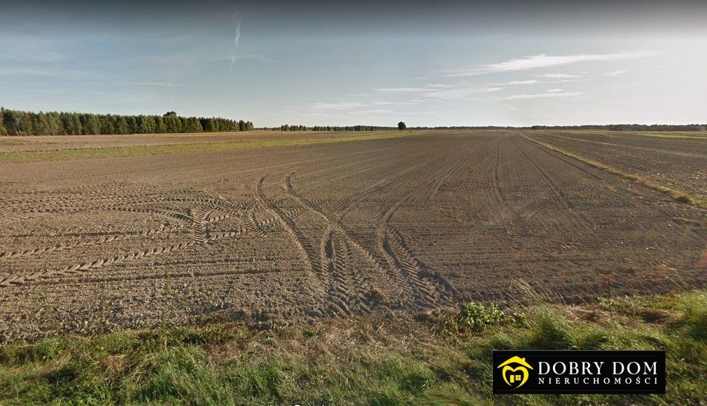 Działka budowlana Jadwisin. Zdjęcie 2