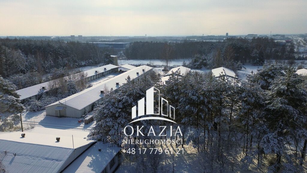 Działka inwestycyjna Wysoka Głogowska. Zdjęcie 10