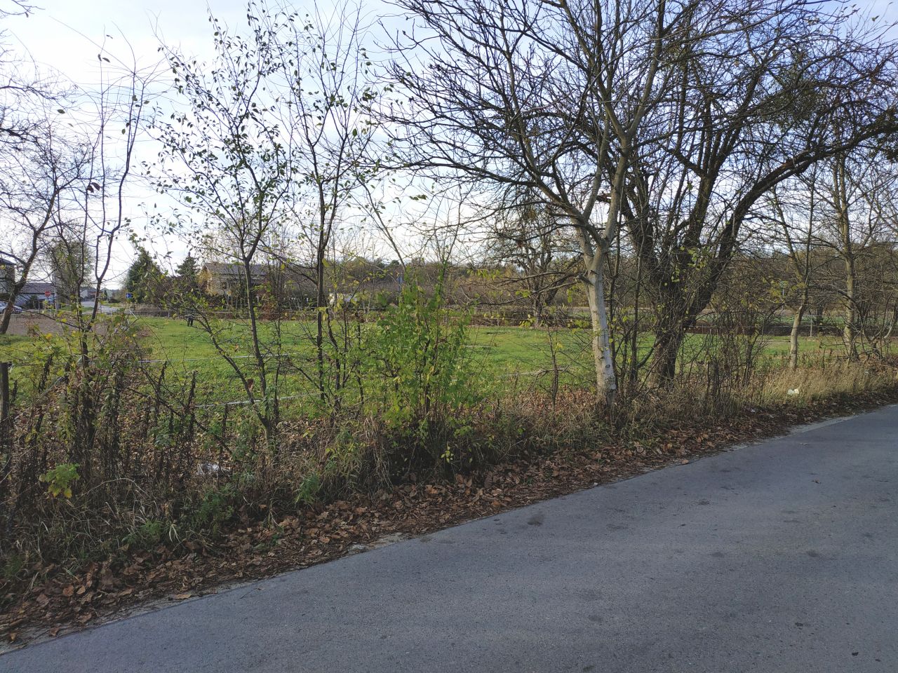 Działka inwestycyjna Kazimierz Dolny Dąbrówka, Dąbrówka. Zdjęcie 10