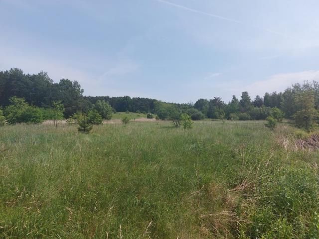 Działka Boguchwałowice 5675 m2