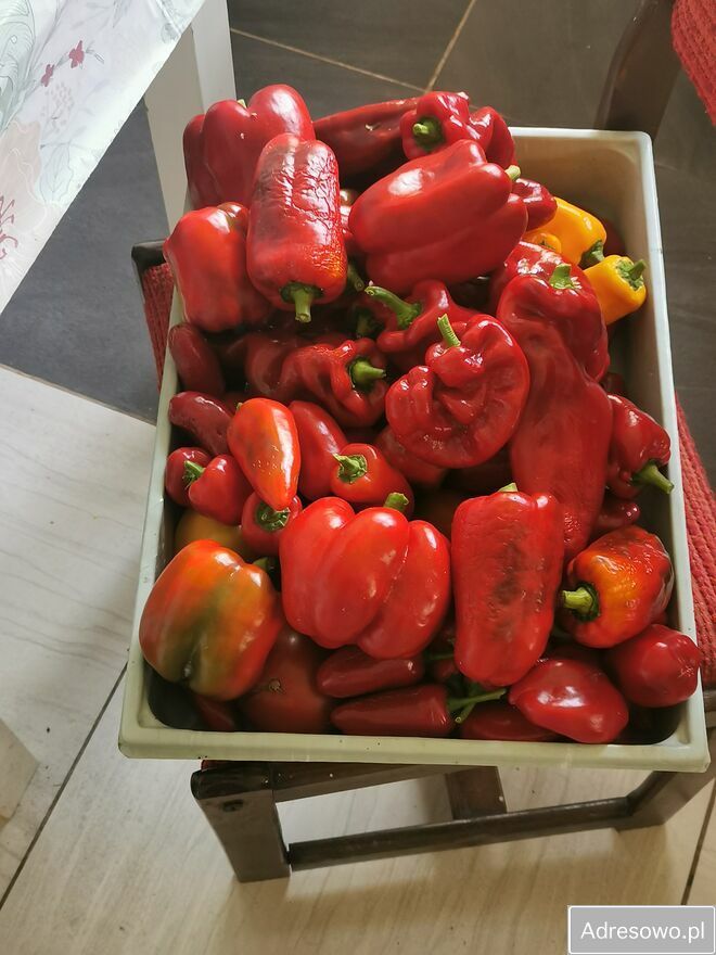 dom wolnostojący, 3 pokoje Drążgów. Zdjęcie 5