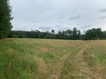 Działka rolna Różyn. Zdjęcie 4