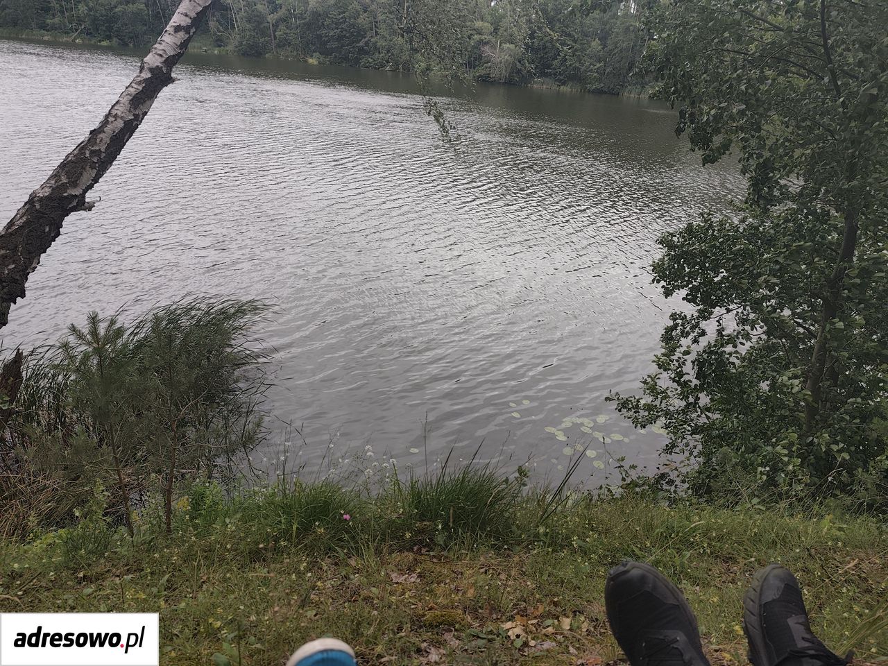 Działka budowlana Bledzew. Zdjęcie 17