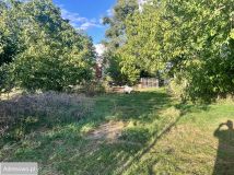 Działka Goła. Zdjęcie 4