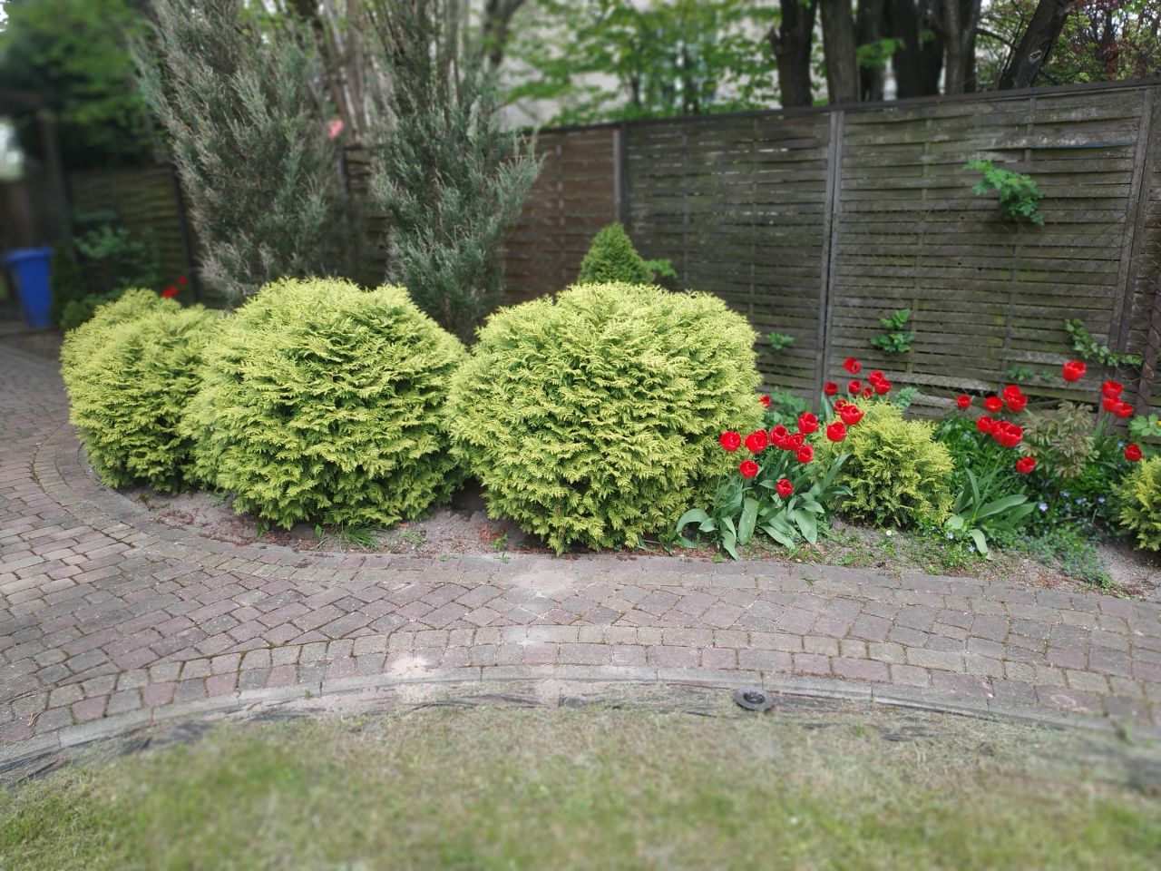 dom wolnostojący, 6 pokoi Łódź Górna, ul. Obywatelska. Zdjęcie 23