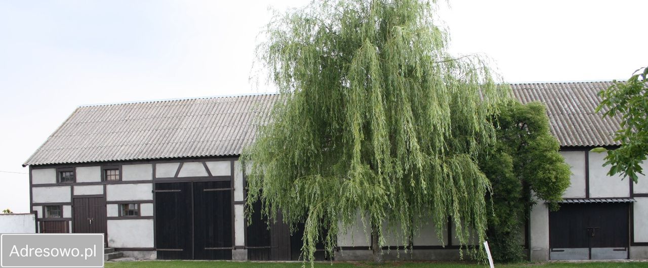 dom wolnostojący Kłonówek. Zdjęcie 13