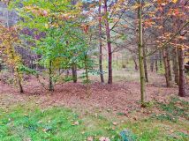 Działka rekreacyjna Osłonin, ul. Leśna. Zdjęcie 3