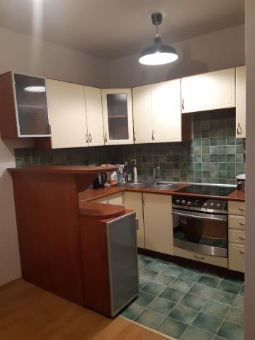 Mieszkanie 1-pokojowe Poznań Jeżyce, ul. Kościelna. Zdjęcie 1