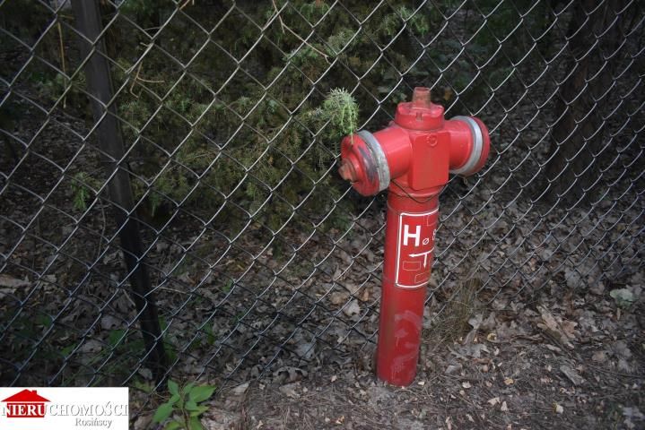 Działka rekreacyjna Wola Rasztowska. Zdjęcie 5