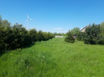 Działka rolno-budowlana Staw. Zdjęcie 2