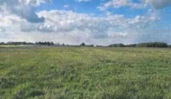 Działka budowlana Pluskowęsy