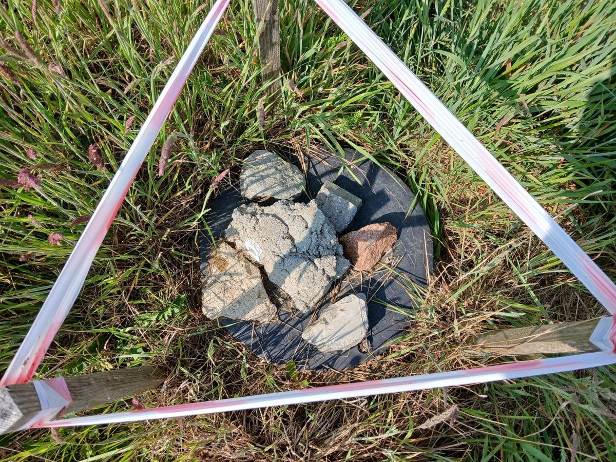 Działka budowlana Sierosław. Zdjęcie 8