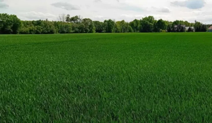 Działka budowlana Lipno