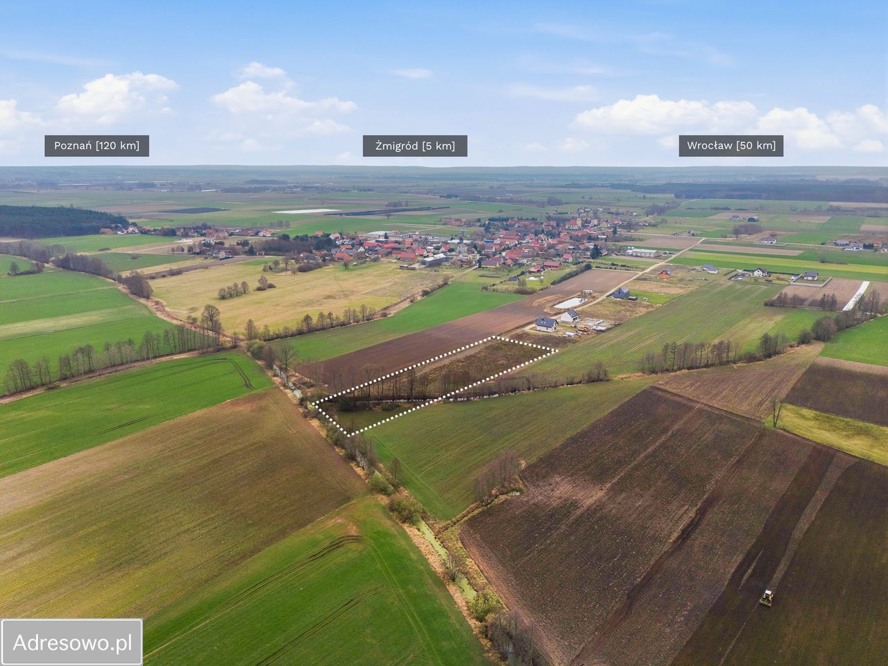 Działka siedliskowa Bychowo. Zdjęcie 2