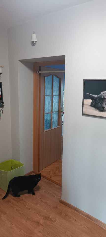 Mieszkanie 2-pokojowe Prudnik, pl. Wolności. Zdjęcie 4