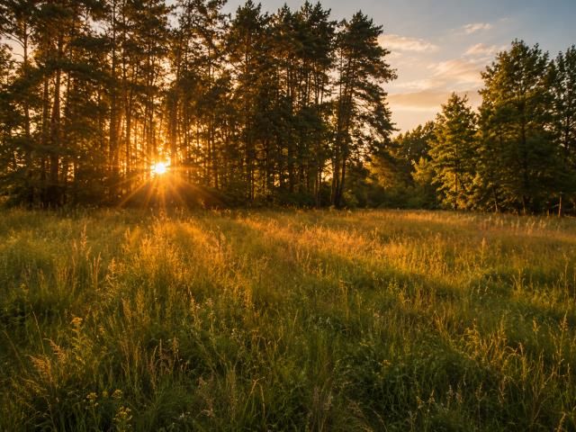 Działka budowlana Zagościniec, ul. Tramwajowa. Zdjęcie 2