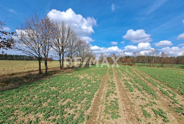 Działka rolna Nieżyn. Zdjęcie 1