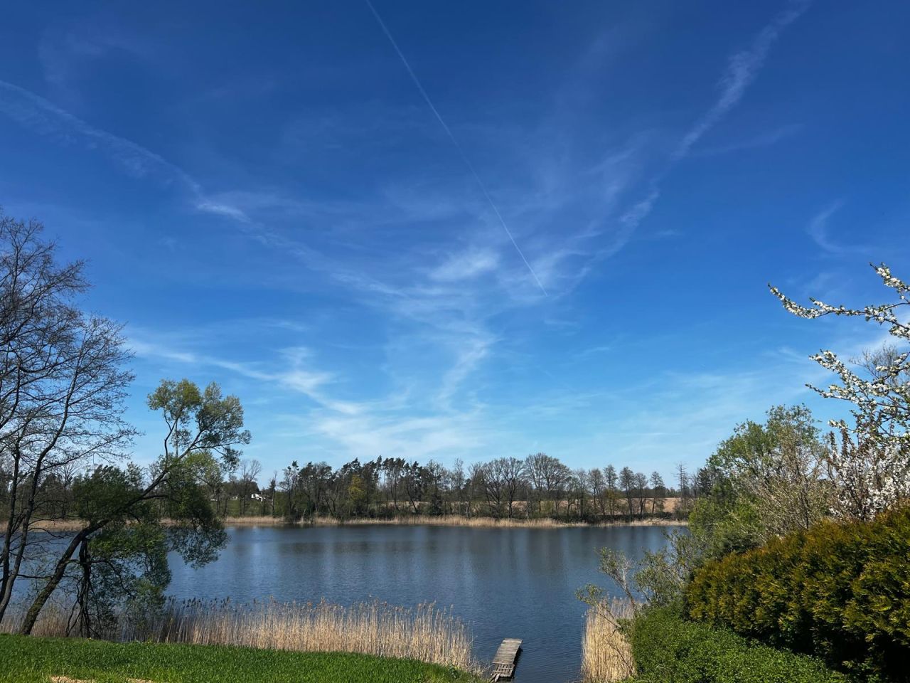 Działka rod Drzewianowo. Zdjęcie 11