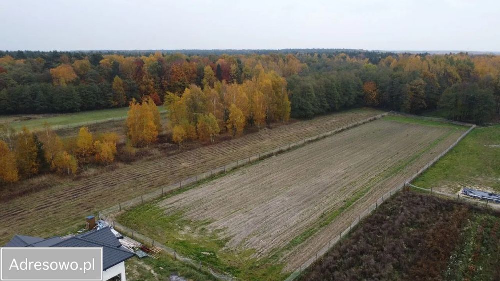 Działka budowlana Głogów Małopolski. Zdjęcie 2