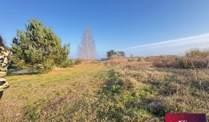 Działka siedliskowa Florentynów