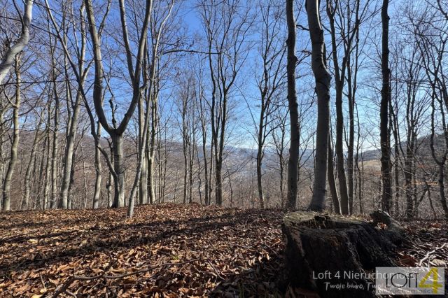 Działka budowlana Obłazy Ryterskie. Zdjęcie 13