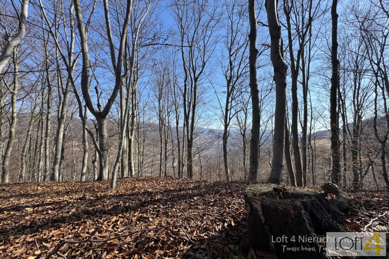 Działka budowlana Obłazy Ryterskie. Zdjęcie 13
