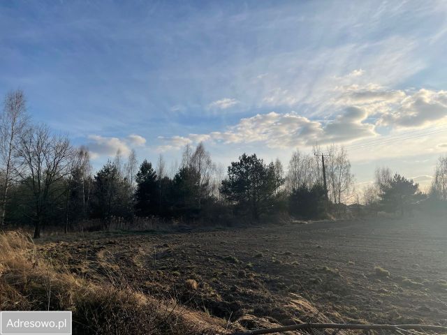 Działka inwestycyjna Żurawiniec. Zdjęcie 1