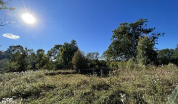 Działka siedliskowa Dłużec