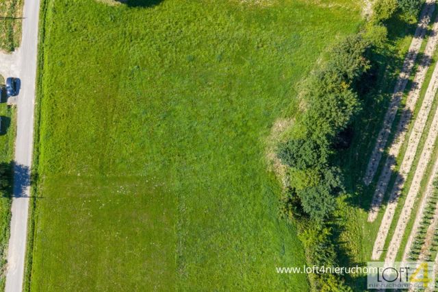 Działka budowlana Bilsko. Zdjęcie 3