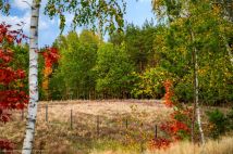 Działka budowlana Jeziórka. Zdjęcie 4