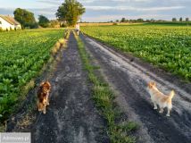 siedlisko Taszewskie Pole. Zdjęcie 4