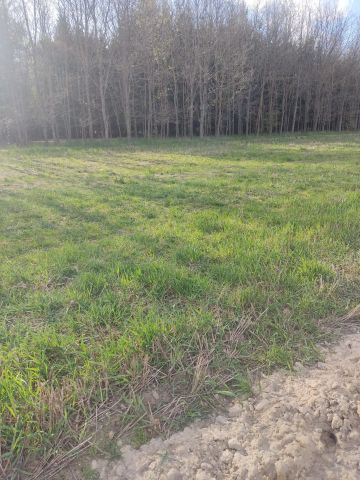 Działka budowlana Stara Jedlanka. Zdjęcie 1