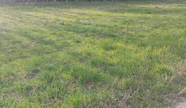 Działka budowlana Stara Jedlanka